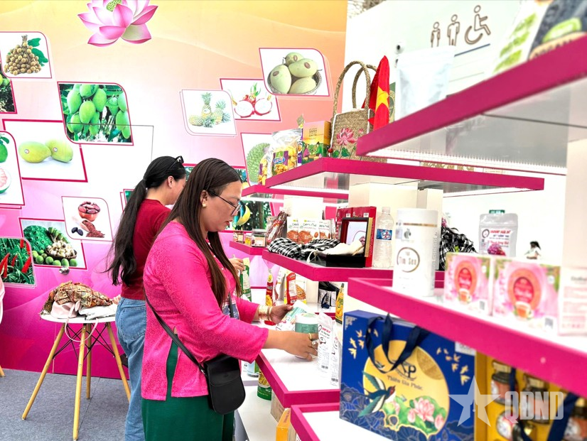 Bình dị đất sen hồng